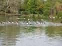 2014-10-02 16-16-40 Rando parc de la Courneuve CGn